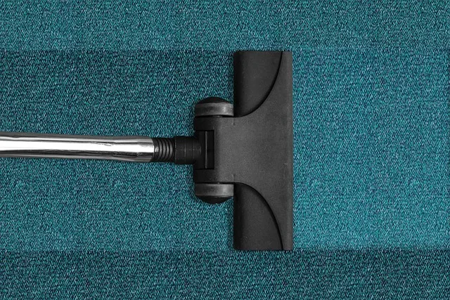 Read more about the article A Dееp Divе into Professional Carpet Cleaning Services
