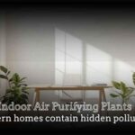 indoor air purifying plants