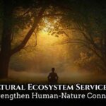 Cultural ecosystem services