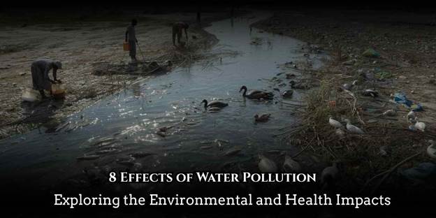 8 Effects of Water Pollution