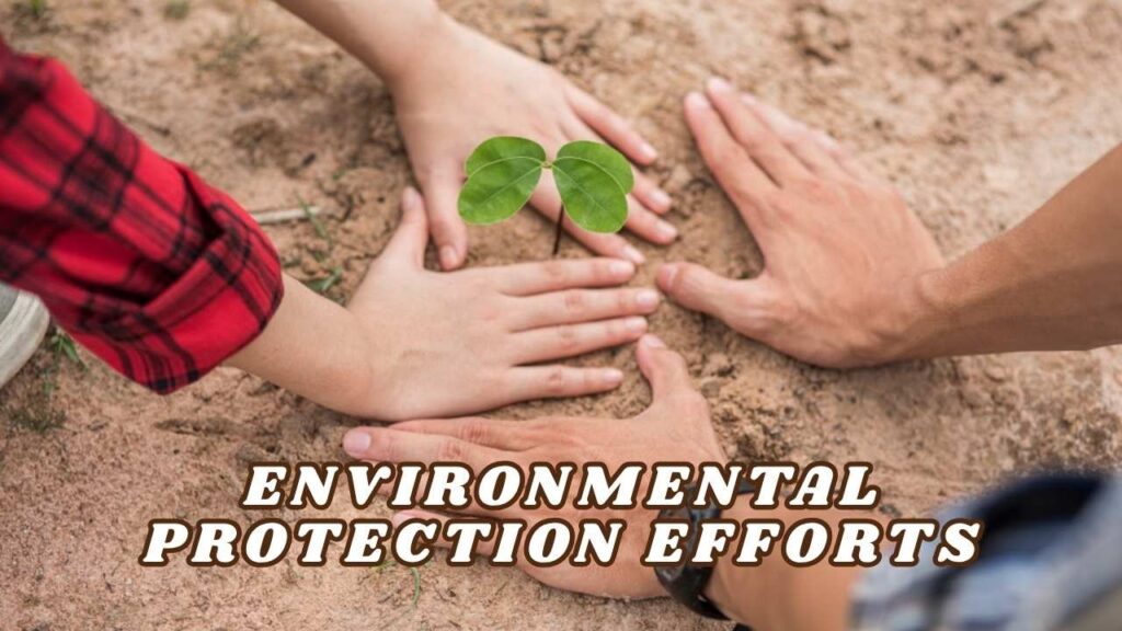 Environmental protection efforts