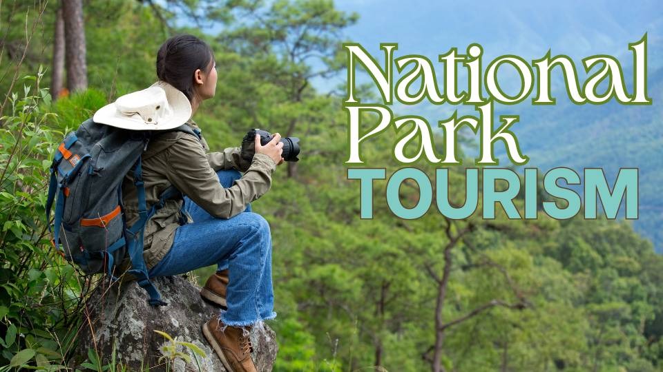 National park tourism