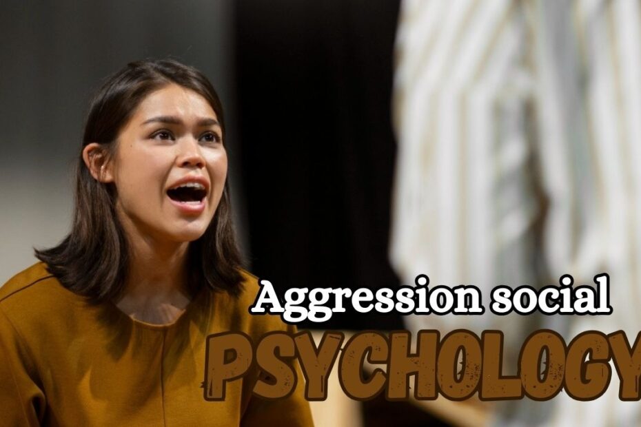 Aggression social psychology