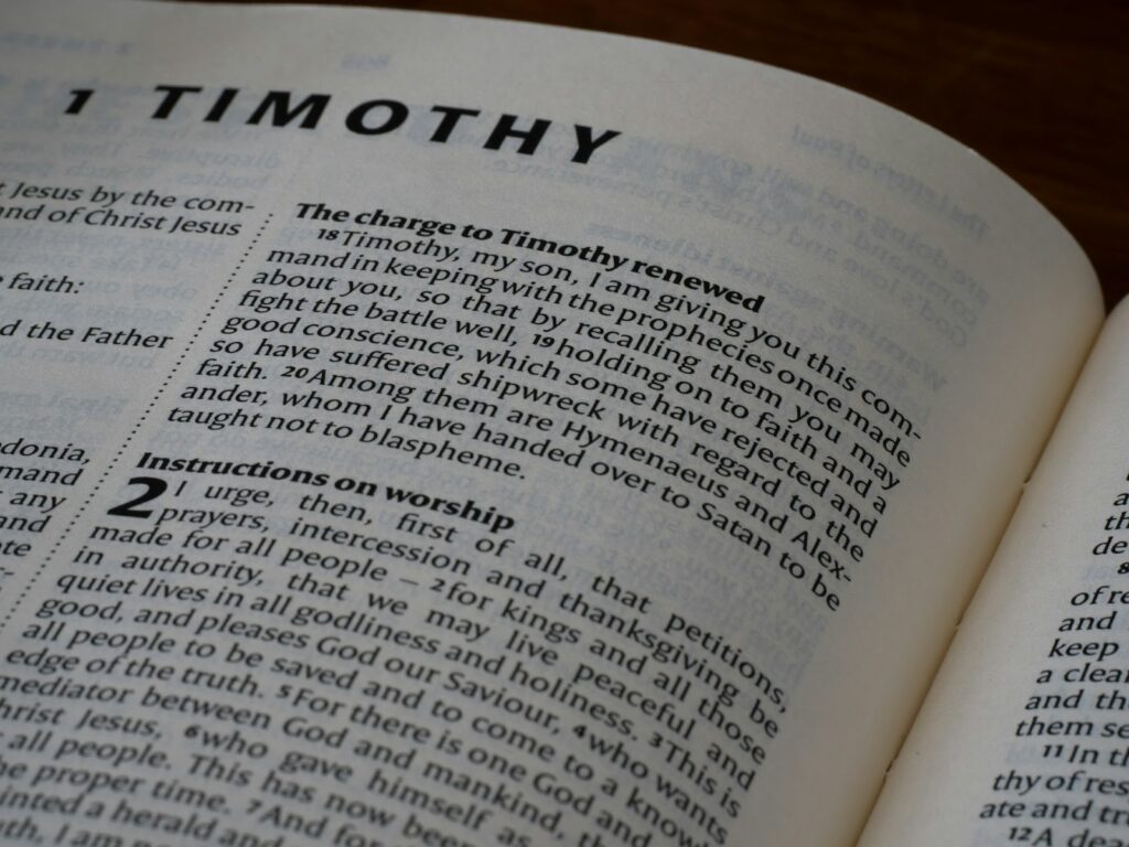 working memory capacity