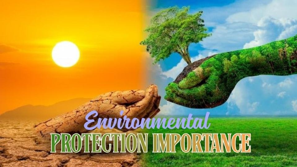 Environmental protection importance
