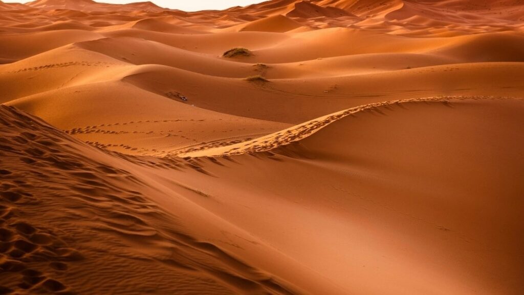 Desert Sands