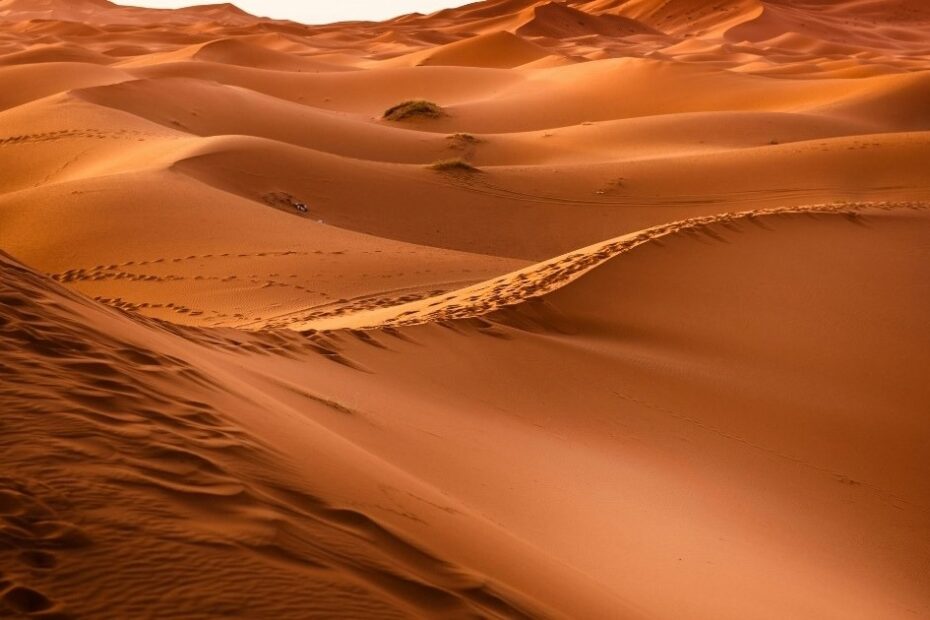 Desert Sands